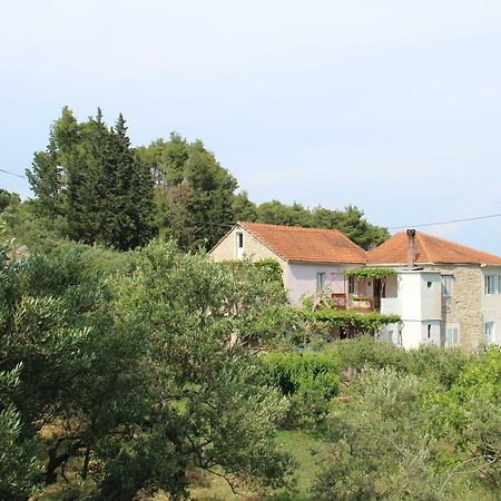 Apartmani Ivankovic Vrisnik Экстерьер фото