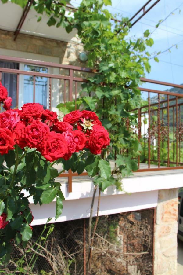 Apartmani Ivankovic Vrisnik Экстерьер фото