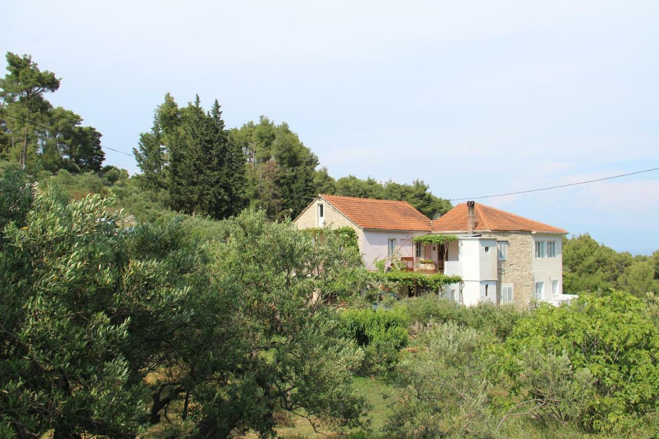 Apartmani Ivankovic Vrisnik Экстерьер фото